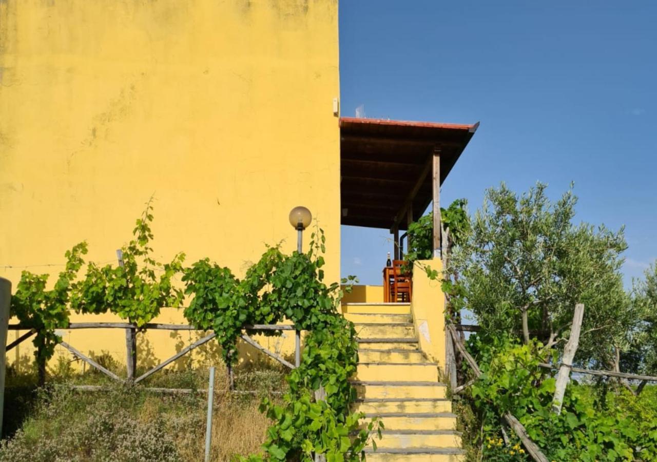 Vesuvio Inn Guest House E Wine Experience Boscotrecase Zewnętrze zdjęcie