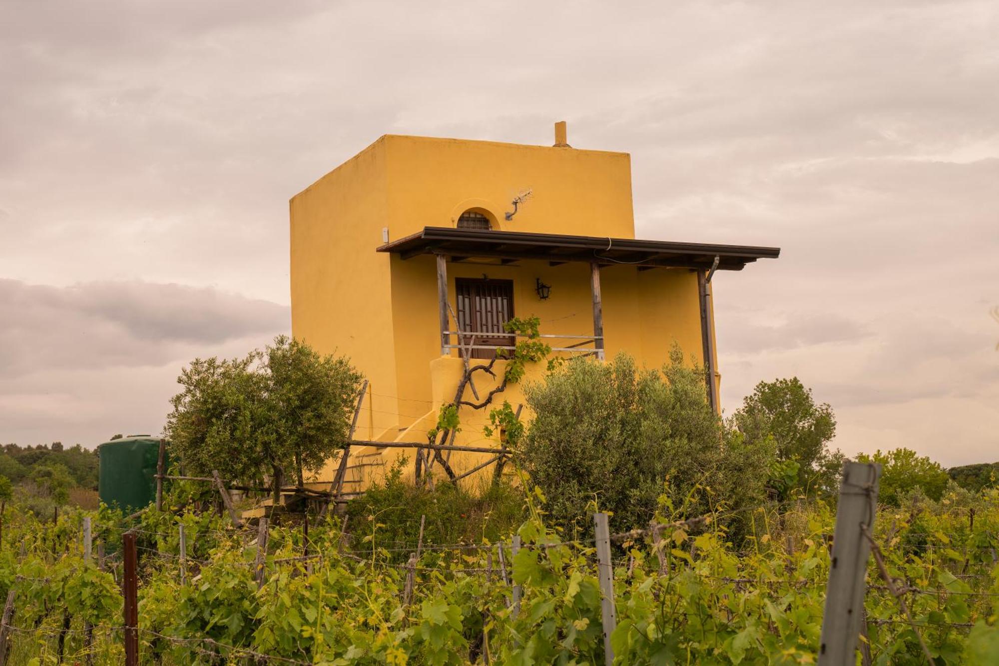 Vesuvio Inn Guest House E Wine Experience Boscotrecase Zewnętrze zdjęcie