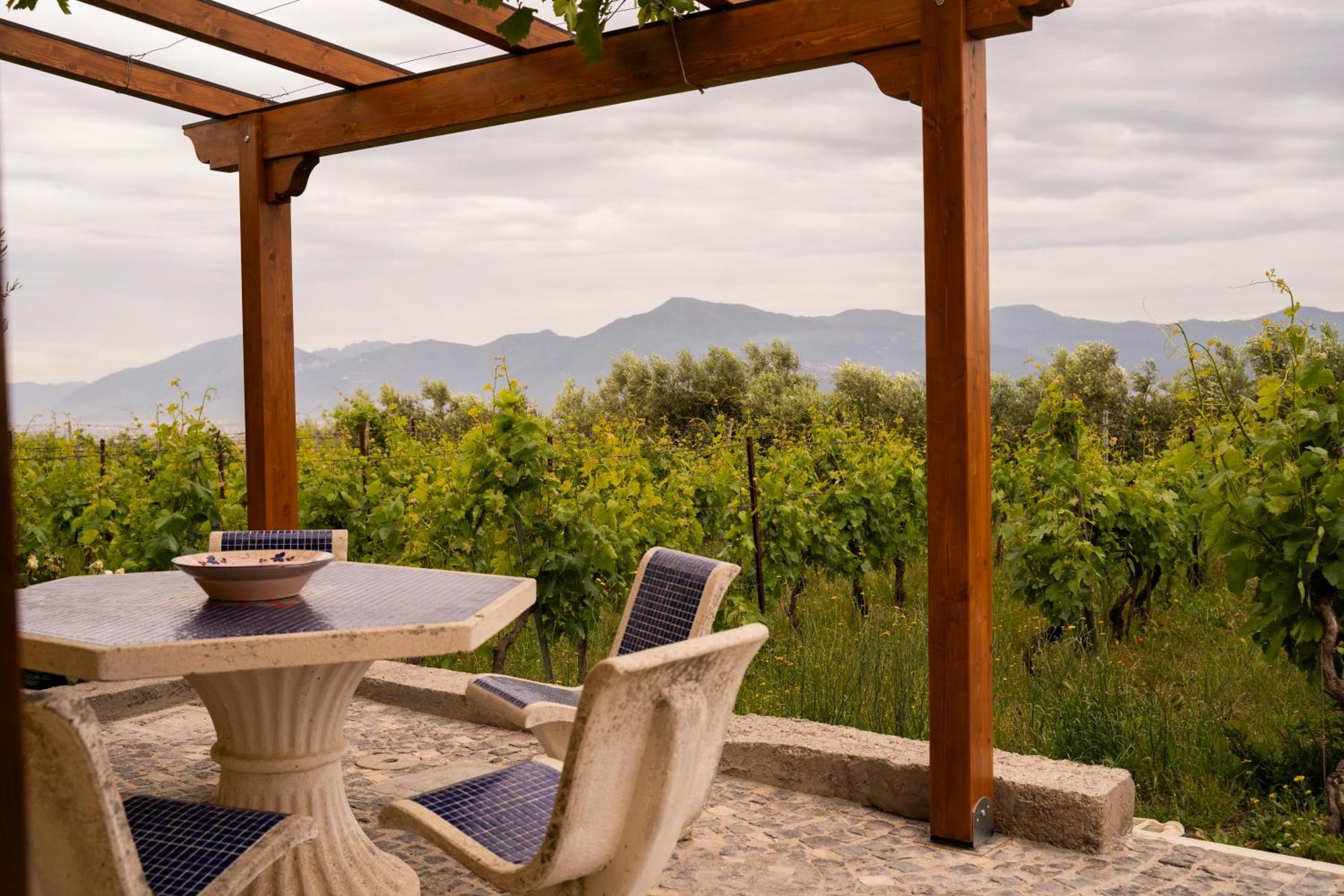 Vesuvio Inn Guest House E Wine Experience Boscotrecase Zewnętrze zdjęcie