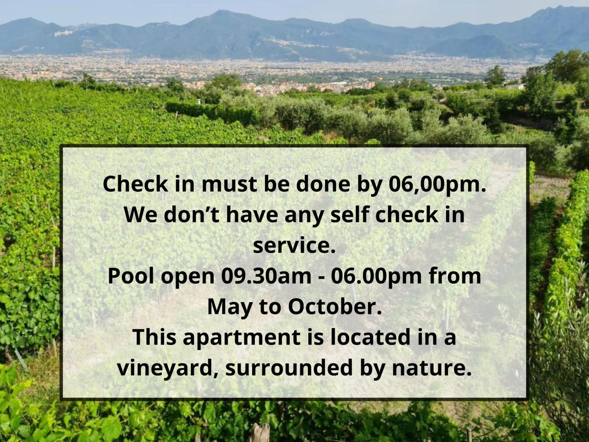 Vesuvio Inn Guest House E Wine Experience Boscotrecase Zewnętrze zdjęcie